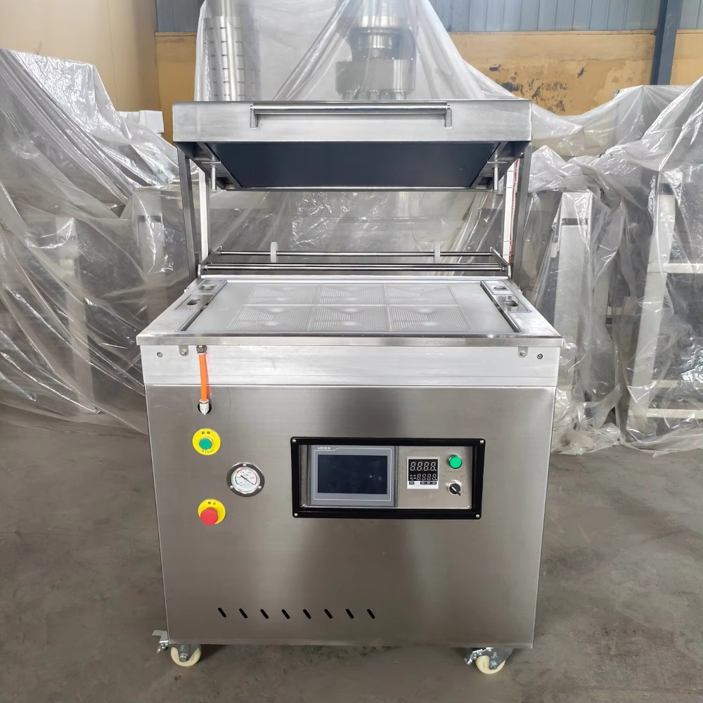 Automatic Stainless Steel Vacu - Food Vacuum Sealer Machine ulasan dan harga